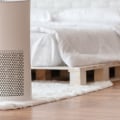 The Power of Air Purifiers: Enhancing Lung Health and Alleviating Allergies