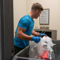 What Is Valet Trash Service, And How Does It Work In Apartments?