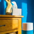 The Truth About Air Purifiers and Allergies: An Expert's Perspective