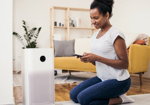 The Truth About Air Purifiers and Allergies: An Expert's Perspective