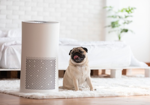 The Importance of Choosing the Best Home HVAC Air Filters for Allergies