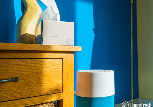 The Truth About Air Purifiers and Allergies: An Expert's Perspective